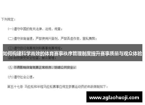 如何构建科学高效的体育赛事秩序管理制度提升赛事质量与观众体验